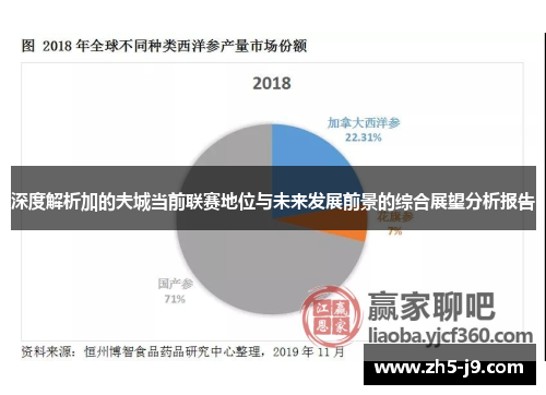 深度解析加的夫城当前联赛地位与未来发展前景的综合展望分析报告