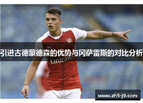 引进古德蒙德森的优势与冈萨雷斯的对比分析